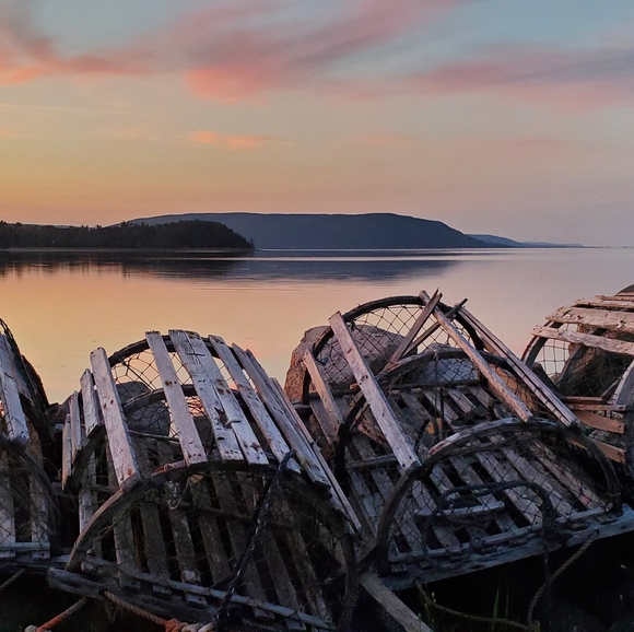 Meet your Posher, Felix - Picture 1 of 1